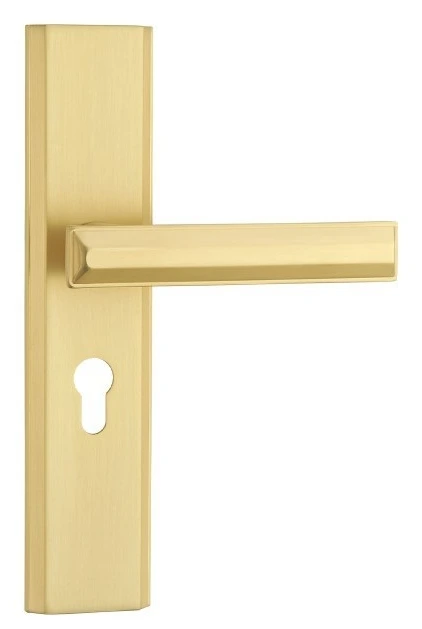 Z20052 50-series zinc alloy backplate lock