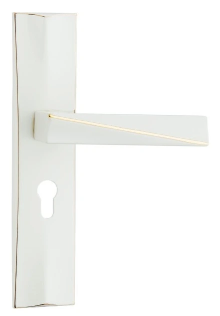 Z51013 50-series zinc alloy backplate lock