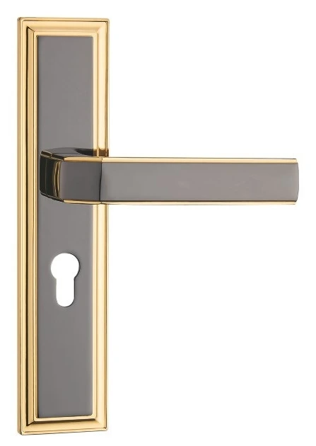 Z51115 50-series zinc alloy backplate lock
