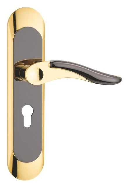 Z51619 50-series zinc alloy backplate lock