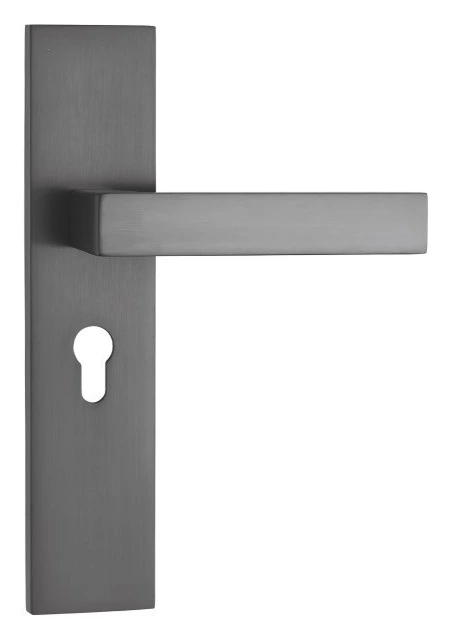 Z52546 50-series zinc alloy backplate lock