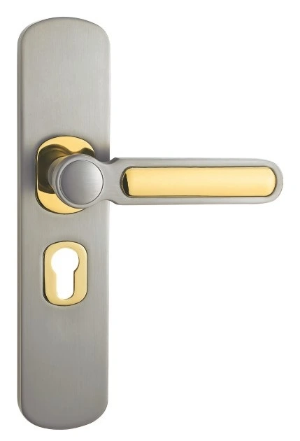 Z53242 50-series zinc alloy backplate lock