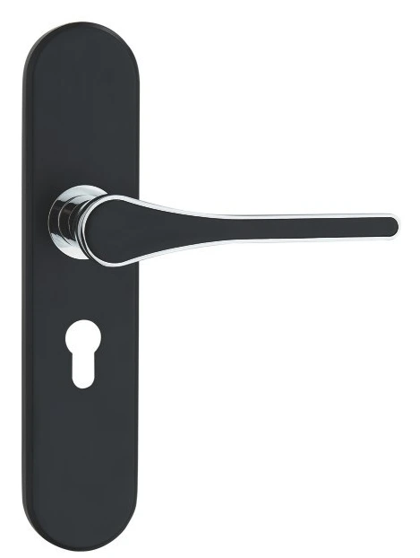 Z53441 50-series zinc alloy backplate lock