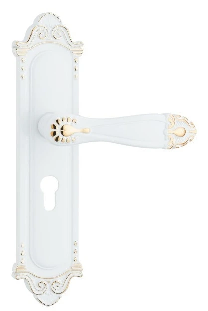 Z53610 50-series zinc alloy backplate lock