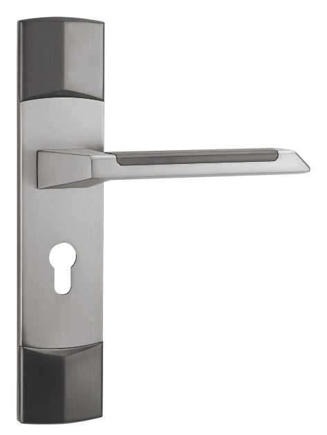 Z54564 50-series zinc alloy backplate lock
