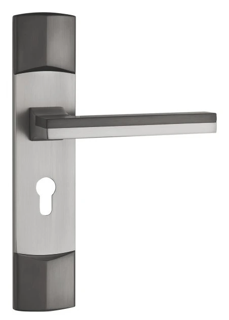 Z54575 50-series zinc alloy backplate lock