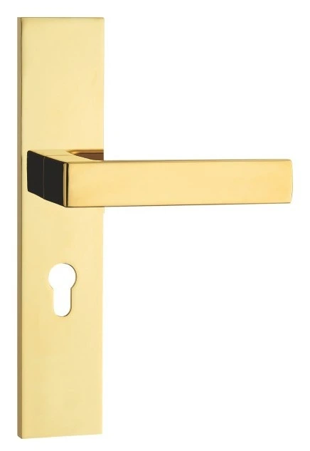 Z5813-79 58-series zinc alloy backplate lock